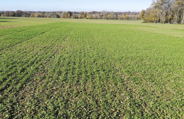 Les tendances climatiques de ces vingt dernières années montrent qu’en un lieu donné, la date moyenne de semis d’une prairie devrait progressivement reculer.