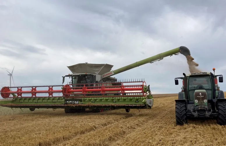 Agritel estime le rendement du blé tendre à 73 q/ha