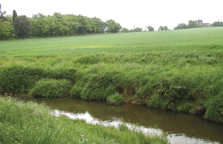 Le plan d’action permet de diviser par deux une concentration en nitrate dans les eaux souterraines.