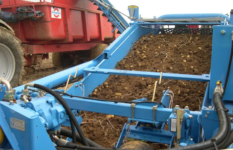 Pour 2023, le rendement moyen des pommes de terre devrait atteindre 43,6 tonnes par hectare