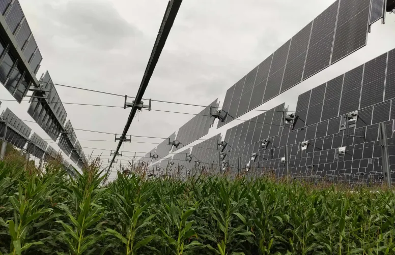 Le démonstrateur d’ombrière photovoltaïque est déployé sur 3 ha de grandes cultures (ici avec ses panneaux repliés pour laisser passer la pluie).