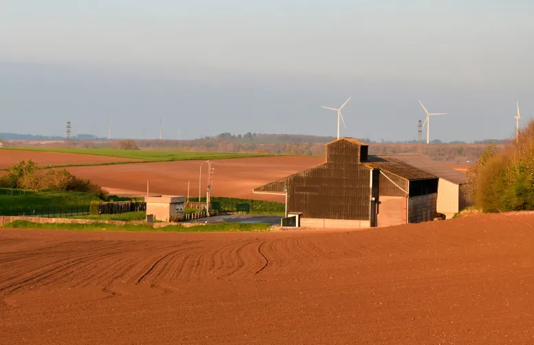 46 % des coopératives se disent optimistes quant à l’avenir du bio