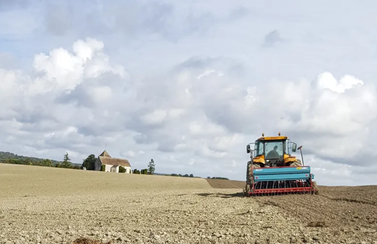 En sol superficiel et caillouteux, les semis précoces sont à privilégier, avec des densités à majorer de 15 % environ.