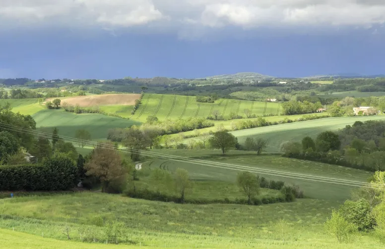 Pour la première fois, des scientifiques ont étudié les effets de différents types d’habitats semi-naturels (prairies temporaires, prairies permanentes, haies) et de la diversité des cultures sur la régulation naturelle des insectes ravageurs et des plantes adventices.