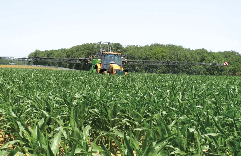 Le choix des herbicides foliaires utilisés en rattrapage doit s’effectuer en fonction des espèces à contrôler.
