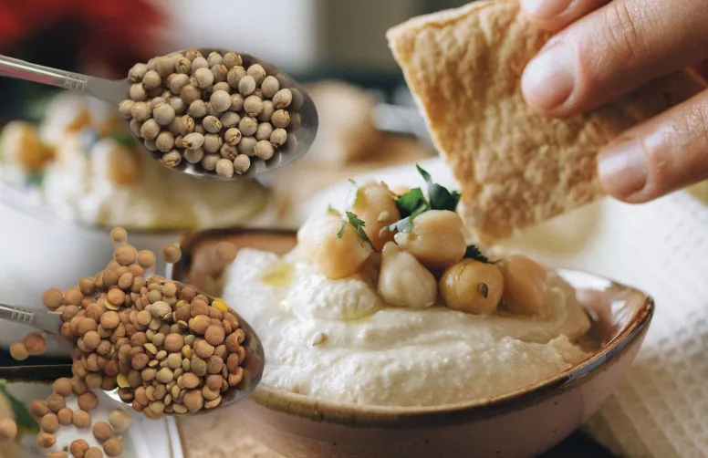 De nombreux produits innovants à base de légumineuses ont été lancés dernièrement, au rayon « traiteur » mais aussi dans d’autres catégories d’aliments jusqu’ici peu investies par ces graines : biscuits sucrés, alimentation infantile, pain de mie, céréales pour le petit déjeuner…