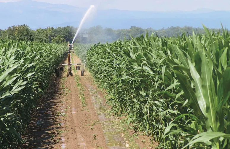 La ferme étudiée dans ces projets de transition « bas carbone » se situe en Alsace. On y produit avant tout du maïs (irrigué), et dans une moindre mesure du blé et du soja (irrigué).