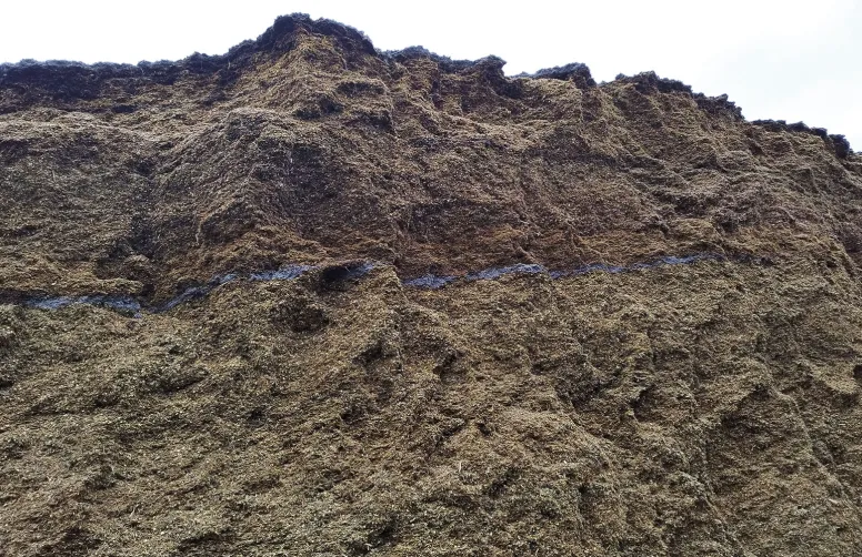 Sans bâche, les horizons supérieurs de l’ensilage sont dégradés par les éléments naturels et noircissent. Mais si les durées de stockage ne dépassent pas six mois, les pertes sont moins coûteuses que le bâchage, selon les calculs d’Enebio.