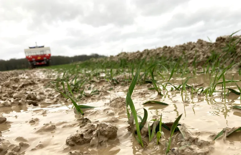 L’humidité des sols est désormais très supérieure à la normale 