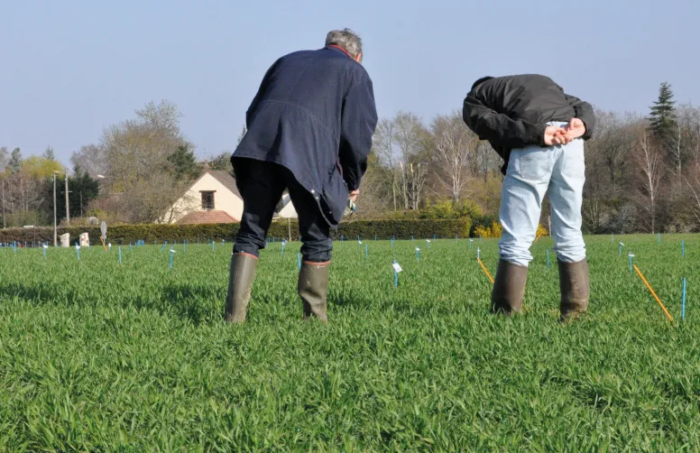 La lutte contre le changement climatique passe par l’implication massive des agriculteurs mais aussi par la combinaison d’actions portées par l’ensemble des acteurs économiques.