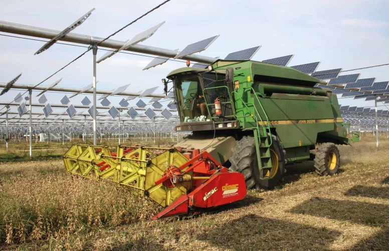 Les systèmes agrovoltaïques apparaissent comme une opportunité pour préserver les cultures, en particulier dans les secteurs où la réserve utile du sol est très limitante