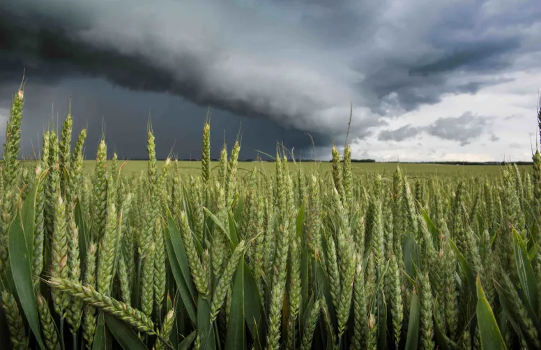 La météo instable pourrait perdurer quelques semaines