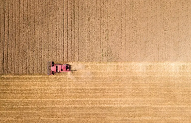 Graminées résistantes : nettoyer la moissonneuse-batteuse pour contrôler les ray-grass