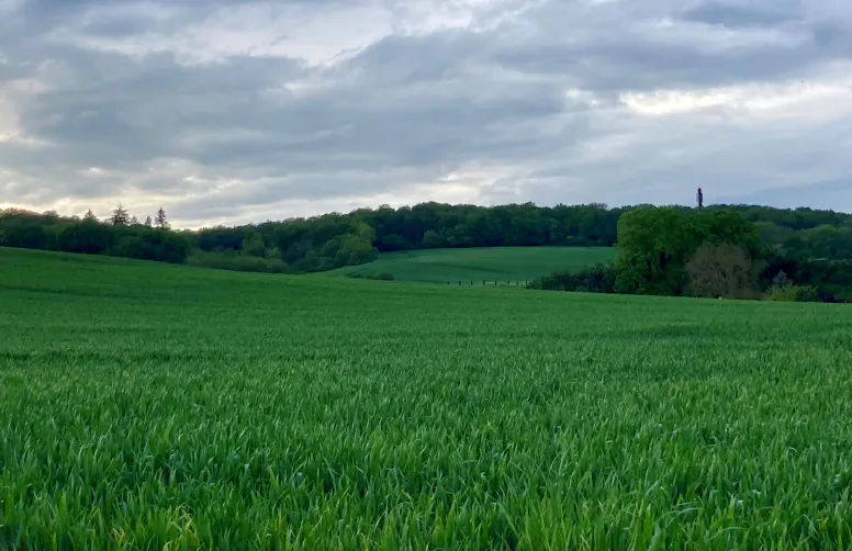 Avec Ecophyto 2030, la France poursuit son objectif d’une réduction de 50% de l’utilisation et des risques globaux des produits phytosanitaires