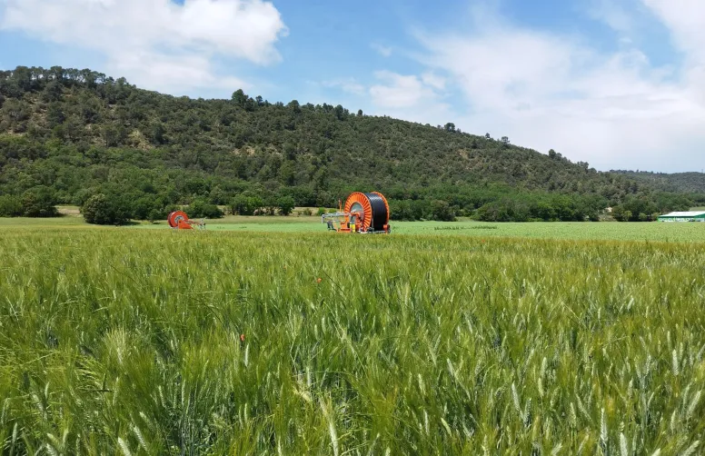 neuf projets territoriaux sont en cours pour coconstruire avec les agriculteurs des scénarios d'évolution des assolements pour s'adapter au climat futur.