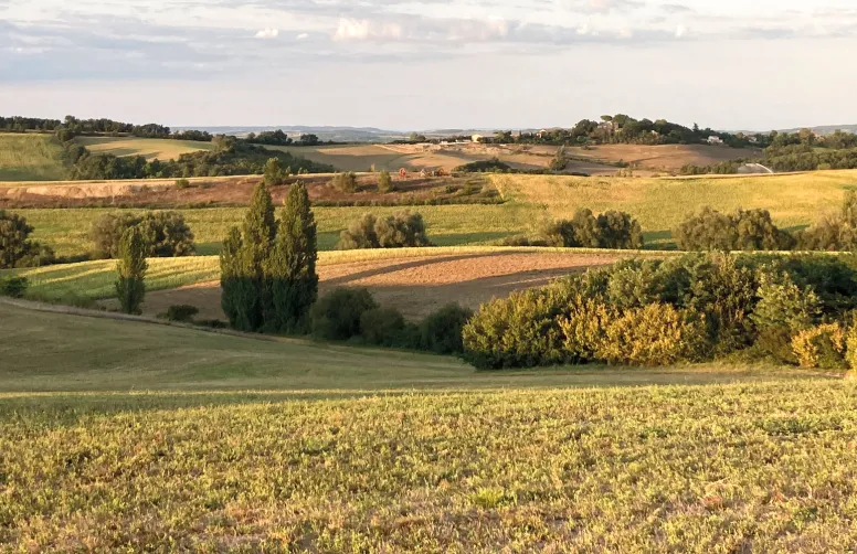 L’enquête menée auprès des DEA de sept établissements d’enseignement apporte des éclairages sociologiques sur les enjeux du changement climatique dans le monde agricole.