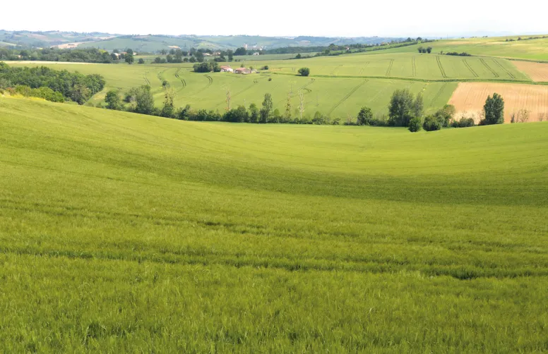 Produire trois cultures en deux ans dans le Sud-Ouest, c’est possible
