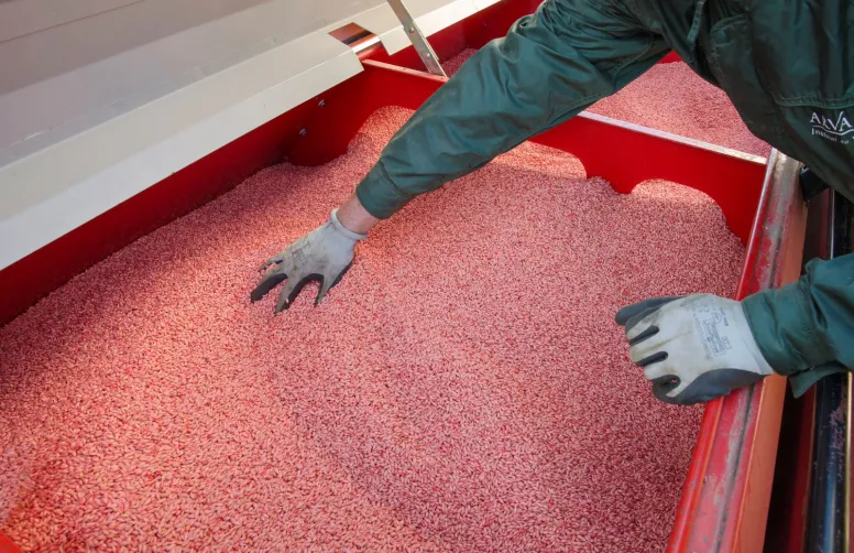Semences de France possède le réseau de production le plus dense de l'Hexagone.