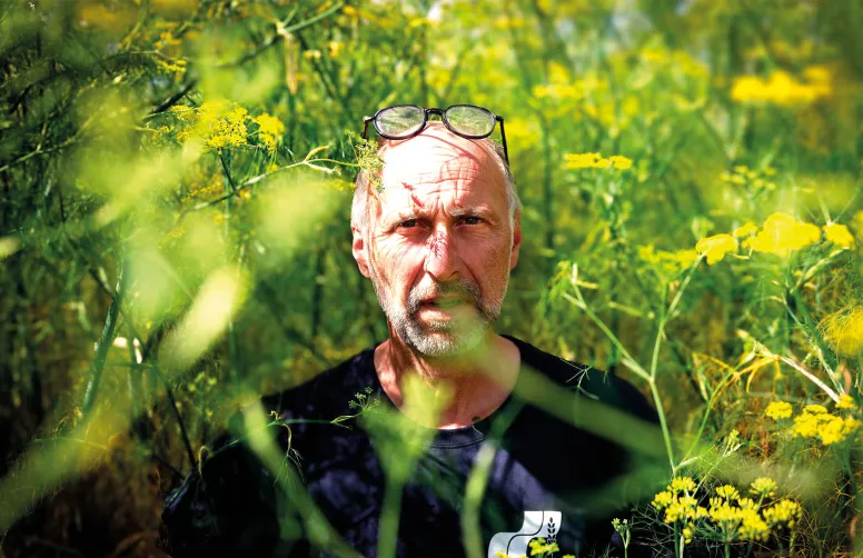 Vincent Dousset : « Je referai du fenouil si mon contrat avec la SCAEL est renouvelé car j’ai beaucoup apprécié le nombre limité d’interventions en culture. »