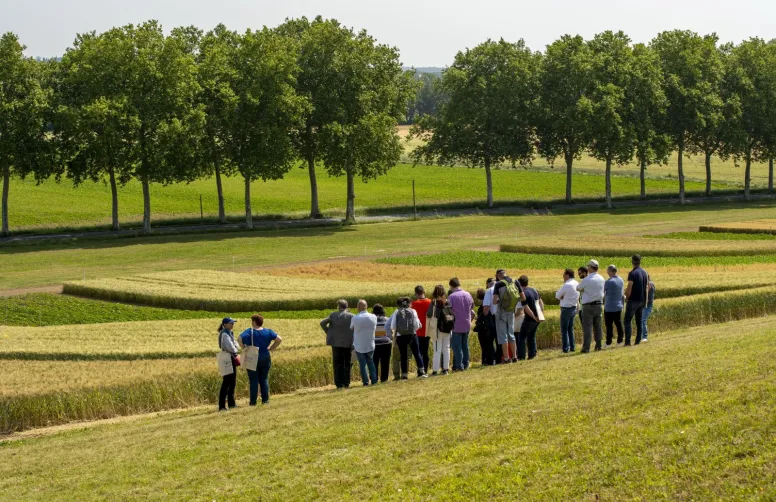 La « feuille de route carbone » fixe des objectifs chiffrés pour chaque maillons de la filière des grandes cultures, tel que prévu par la loi Énergie-Climat de 2019.