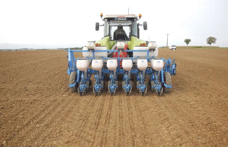 Le semis à 25cm a été réalisé en faisant deux passages consécutifs avec un semoir à 50cm et un guidage RTK parfaitement paramétré. On peut noter un sol refermé en lien avec le recroisement des roues de jauge.