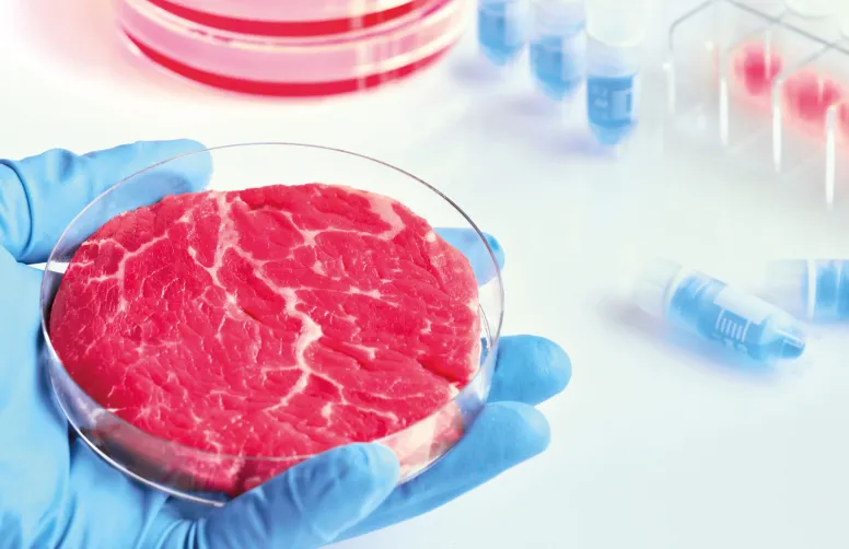Le rapport de l’EGE affirme que des campagnes visant en réalité la production alimentaire française promeuvent des alternatives à la viande contrôlées par des entreprises américaines ayant massivement investi dans la foodtech et la viande cellulaire.