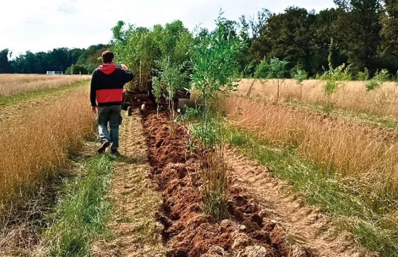 Horizom encourage les agriculteurs situés dans un rayon de 100 km autour de la bambouseraie à planter chacun environ 10 ha d’un seul tenant, afin d’atteindre une surface cumulée de 500 ha.