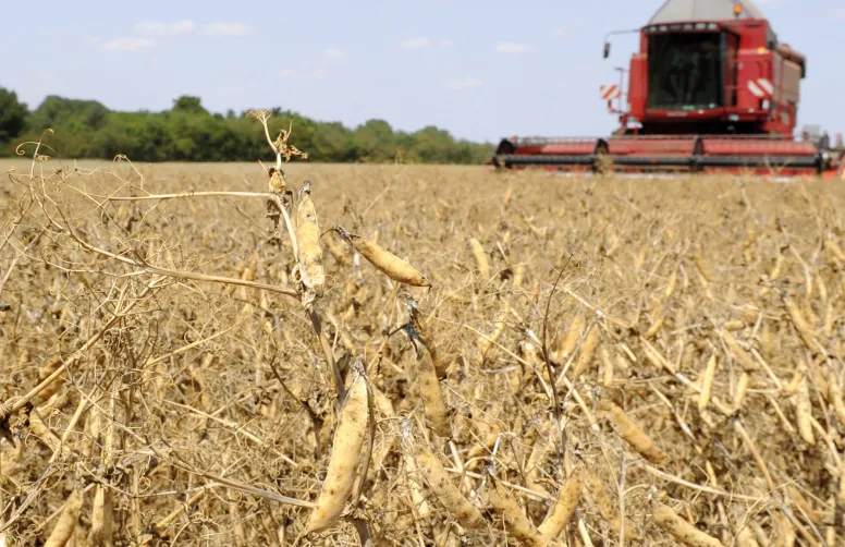 The Shift project : un scénario détaillé pour décarboner l'agriculture française