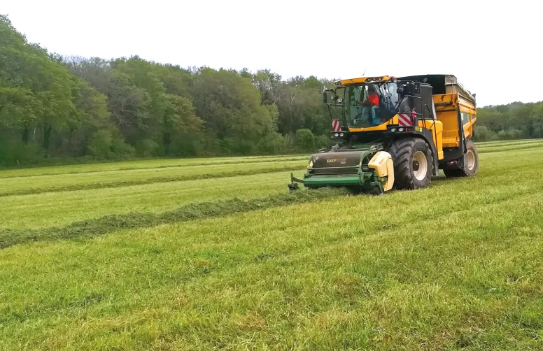 Production d’énergie : CIVE, un réel potentiel à mobiliser