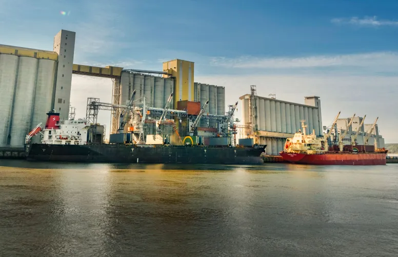 Bassin de marchés « Nord Seine Normandie » : des améliorations à travailler collectivement