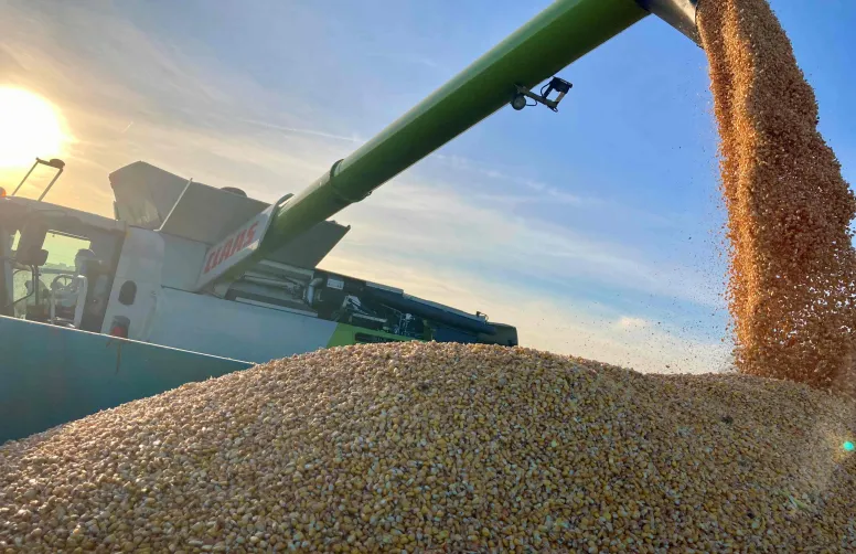 Des exploitations agricoles jusqu’aux entreprises de transformation, en passant par les 203 coopératives, les 300 négoces et les structures d’exportation, la filière céréalière recouvre 538 000 emplois.