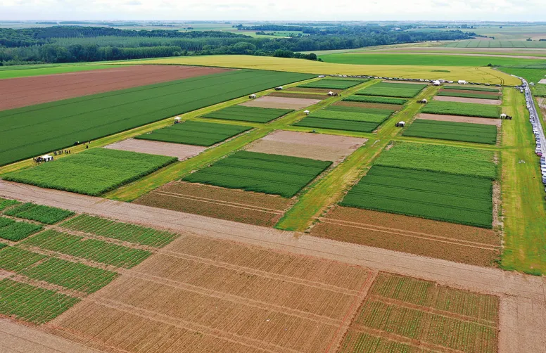 La plateforme Syppre Picardie s’étend sur 10 ha divisés en 45 parcelles, à côté du Domaine d’Estrées-Mons (80).