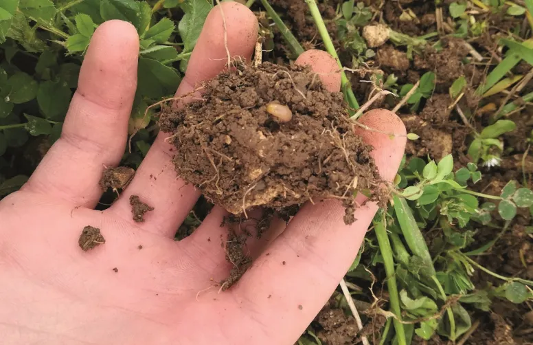 Les agriculteurs qui se lancent dans la transition agroécologique prennent des risques. Comment assureurs et coops peuvent-ils les soutenir ?