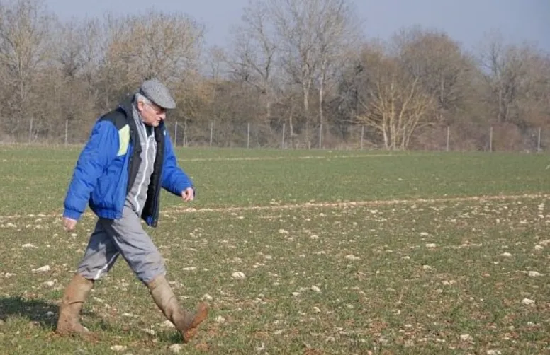 Début 2025, plusieurs changements législatifs concernant la retraite des agriculteurs et la transmission des exploitations sont intervenus pour répondre au risque de « désagricolisation » de la France.