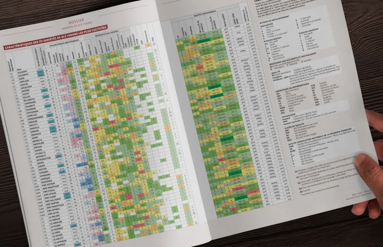 Le tableau récapitulatif des variétés de blé tendre 2025