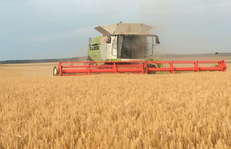 Pertes de grains : privilégier le débit de chantier
