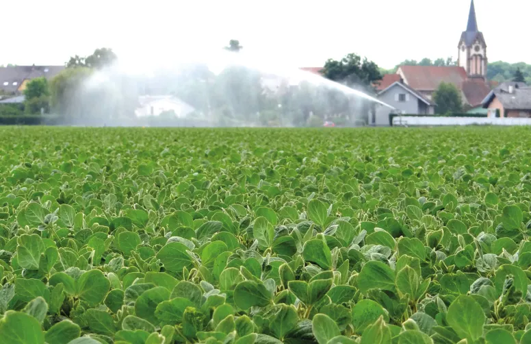Les outils numériques de gestion de l’irrigation peuvent-ils à la fois limiter le stress hydrique des cultures et préserver la ressource en eau ?