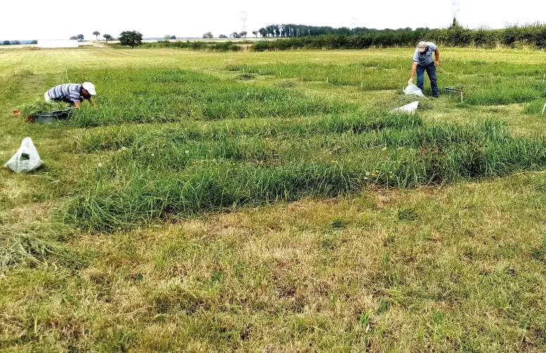 Des essais pluriannuels en microparcelles sont menés à La Ferme des Bordes (36) pour optimiser la fertilisation des prairies temporaires et permanentes