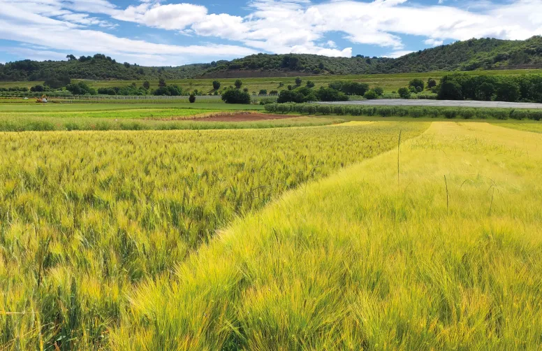 Le modèle AMG évolue notamment pour tenir compte des évolutions de pratiques en lien avec l’agriculture biologique et de conservation des sols.