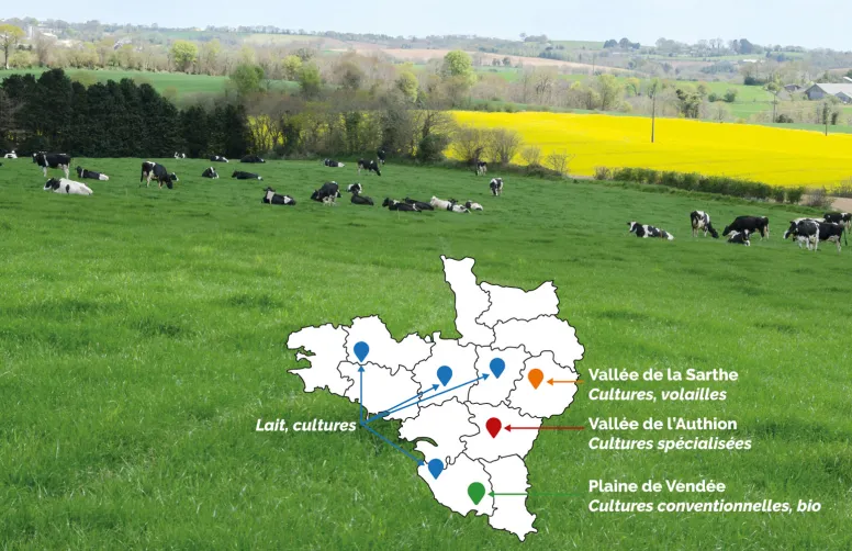 Dans toutes les projections climatiques, les exploitations du Grand Ouest voient la marge nette des productions végétales baisser en 2040-2060 en l’absence de mesures adaptatives.