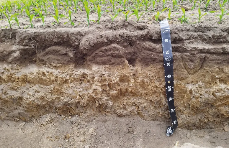Un sol décompacté présente encore des zones non travaillées, mais les dents ont aménagé des « couloirs » meubles qui améliorent la porosité.