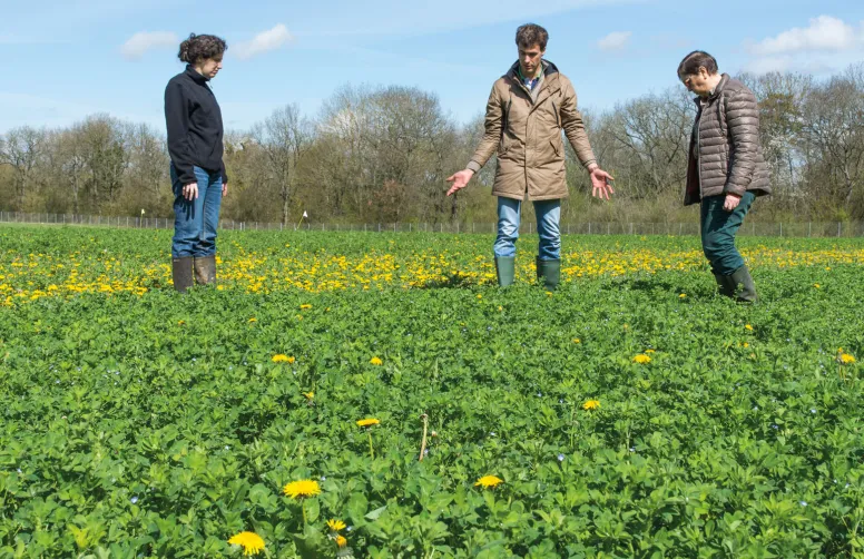La valeur des terres agricoles établie dans le cadre d’une donation-partage doit faire l’objet de discussion entre tous les membres de la famille, y compris ceux qui n’ont pas d’activité agricole. © Arvalis / N.Cornec