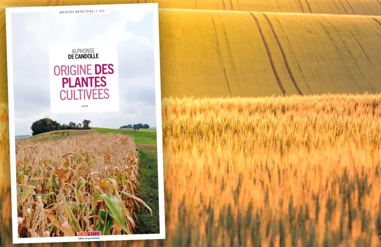 L’Origine des plantes cultivées se révèle être une enquête captivante sur l’origine des espèces qui composent les rotations agricoles et nos assiettes.