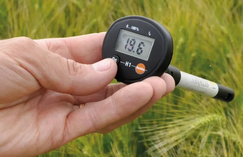 Une main tient un thermomètre affichant la température de l'air sur arrière-plan de champ de blé vert