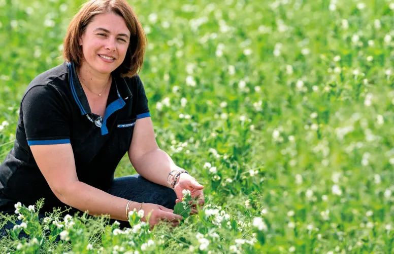 Valérie Leguereau a intégré le sorgho dans sa rotation en 2019.