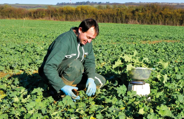 La fertilisation azotée de printemps du colza se prévoit dès le mois de novembre !