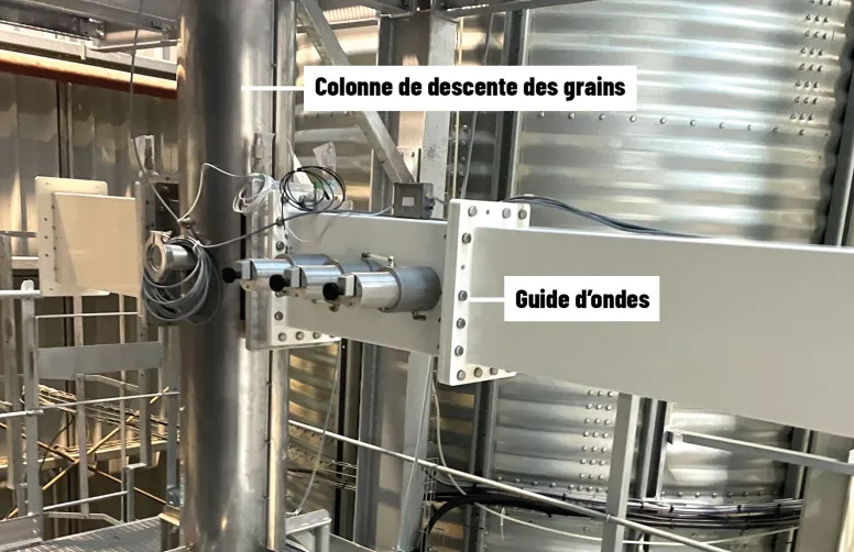 La désinsectisation du blé par micro-ondes conserve l’aptitude des grains à la transformation en meunerie ou en boulangerie, mais ferme le débouché brasserie à l’orge.