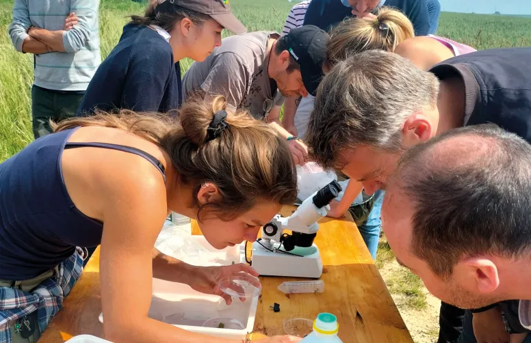 Dans le cadre du projet Concerto*, Terres Inovia accompagne un groupe d’agriculteurs bourguignons dans la gestion des ravageurs avec moins d’insecticides.