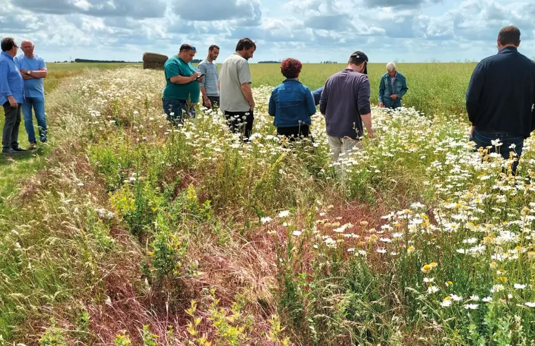 © N. Cerrutti - Terres Inovia