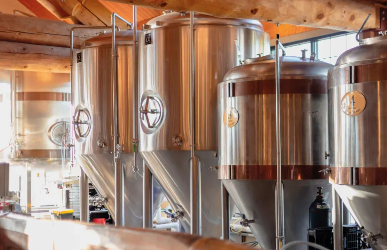 La culture des orges de printemps en France a pour vocation quasi exclusive la production de malt. Il est fortement recommandé de cultiver les variétés pour lesquelles les organismes de collecte locaux ont un marché.